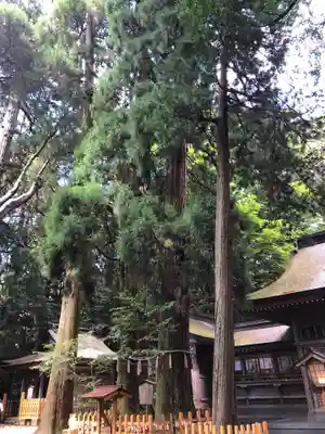 高千穂神社のその他建物