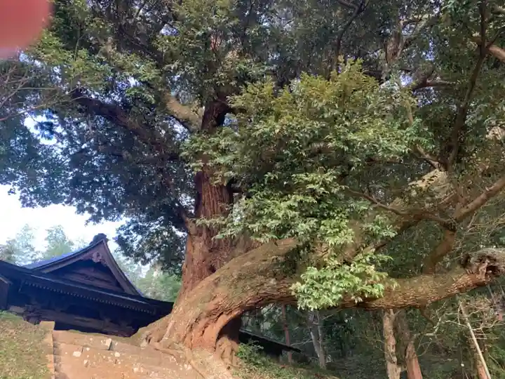 面足神社(千葉県)