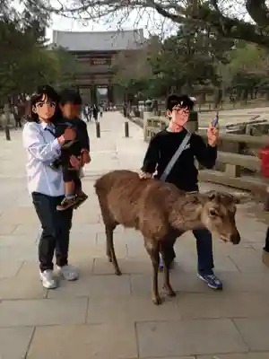 東大寺(奈良県)