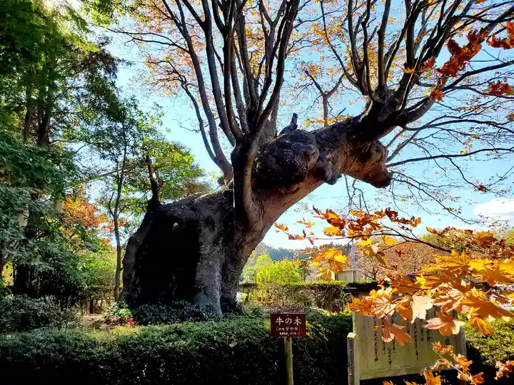 緑水神社の自然