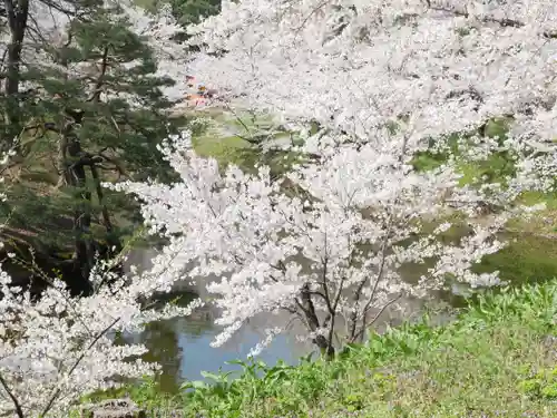眞田神社の自然