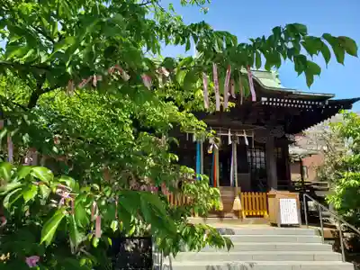 桜神宮(東京都)