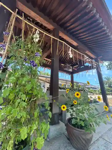 山北八幡神社(香川県)