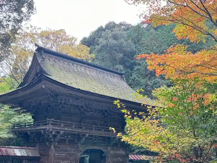 大矢田神社(岐阜県)