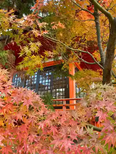 山城ゑびす神社の自然