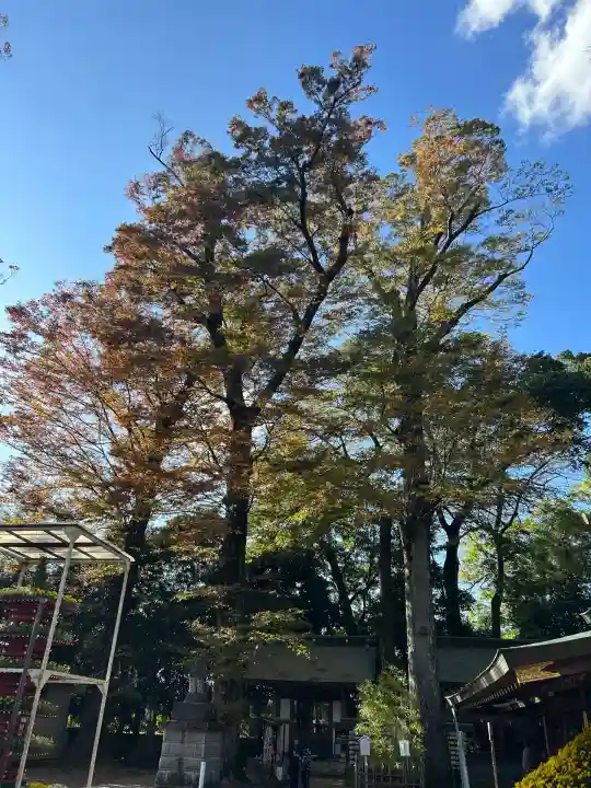 一言主神社(茨城県)