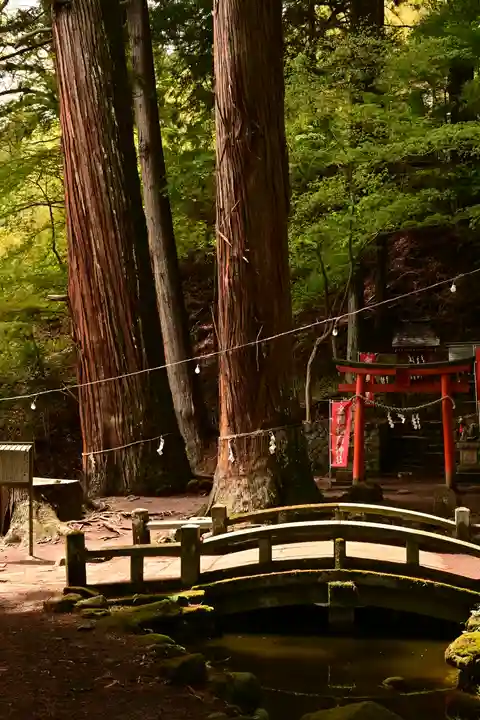 金櫻神社(山梨県)