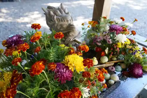 滑川神社 - 仕事と子どもの守り神の手水舎