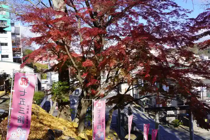 温泉神社〜いわき湯本温泉〜の自然