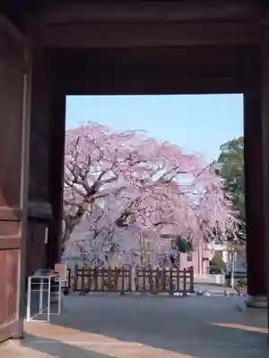 東郷寺(東京都)