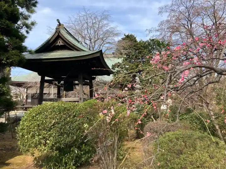 南養寺の{uncategorized: "未分類", other: "その他", undefined: "問題あり", building: "その他建物", grave: "お墓", sacred_gate: "鳥居", guardian: "狛犬", statue: "像", buddha: "仏像", history: "歴史", nature: "自然", garden: "庭園", animal: "動物", pagoda: "塔", temizu: "手水舎", mountain_gate: "山門・神門", sanctuary: "本殿・本堂", subordinate: "末社・摂社", art: "芸術", scenery: "景色", jizo: "地蔵", ema: "絵馬", goshuin: "御朱印", omikuji: "おみくじ", items: "授与品その他", amulet: "お守り", goshuincho: "御朱印帳", eats: "食事", festival: "お祭り", votive_dance: "神楽", shichigosan: "七五三参", wedding: "結婚式", experience: "体験その他", initially: "初詣", around: "周辺", anti_infection: "感染症対策"}