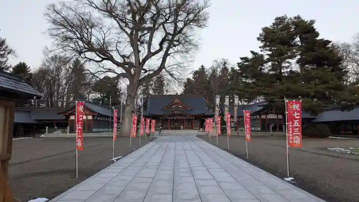 北海道護國神社の七五三参