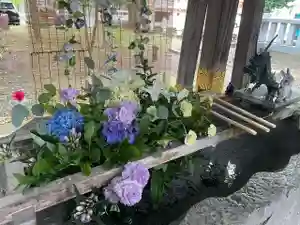 彌彦神社 (伊夜日子神社)の手水舎(2024年07月25日(木) 09時08分24秒投稿)