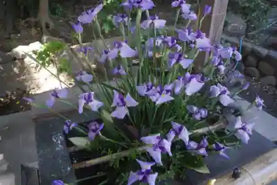 東海市熊野神社の手水舎