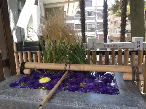 高円寺氷川神社の手水