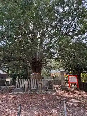 熊野速玉大社(和歌山県)