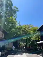 今宮神社(京都府)