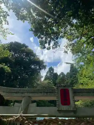 赤猪岩神社(鳥取県)