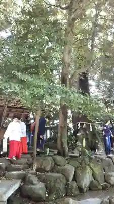 川越氷川神社のその他建物