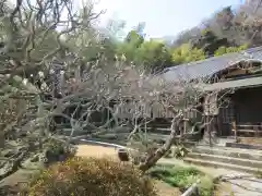 英勝寺の庭園