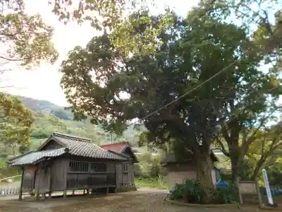 日羅将軍神社の自然
