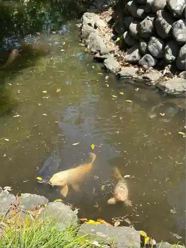 玉村八幡宮(群馬県)
