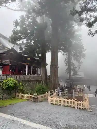 三峯神社(埼玉県)