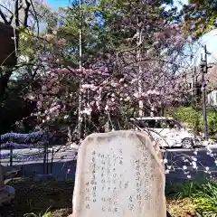 宝城坊(神奈川県)