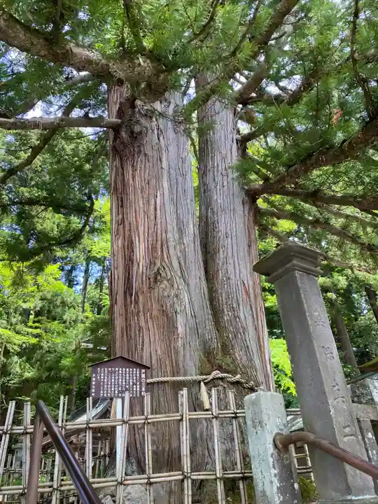 戸隠神社中社(長野県)