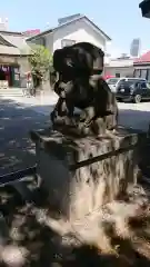 穏田神社の狛犬