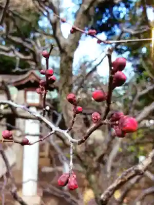布多天神社(東京都)