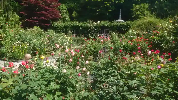 円通院(宮城県)