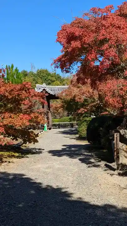 勧修寺(京都府)