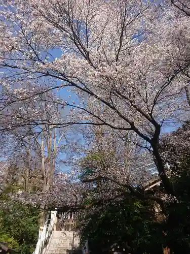 東郷神社(東京都)