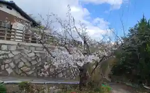 出雲大社倉敷教会(岡山県)(2025年04月04日(金) 11時50分28秒投稿)