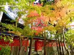 赤山禅院(京都府)