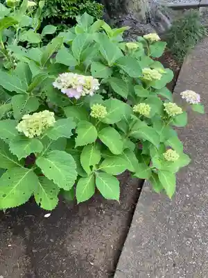 観音寺(神奈川県)