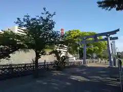 福井神社の鳥居