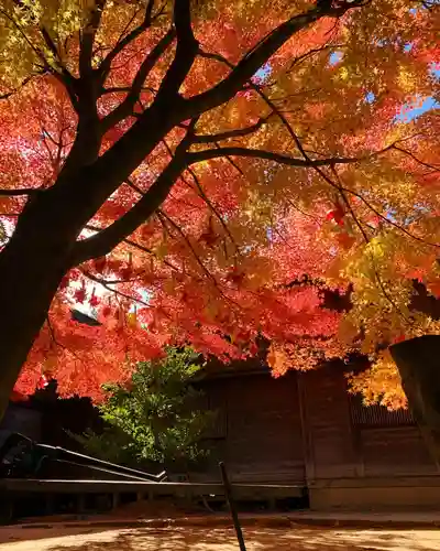 滑川神社 - 仕事と子どもの守り神の自然