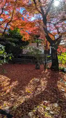 法金剛院(京都府)