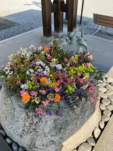 白鷺神社の{uncategorized: "未分類", other: "その他", undefined: "問題あり", building: "その他建物", grave: "お墓", sacred_gate: "鳥居", guardian: "狛犬", statue: "像", buddha: "仏像", history: "歴史", nature: "自然", garden: "庭園", animal: "動物", pagoda: "塔", temizu: "手水舎", mountain_gate: "山門・神門", sanctuary: "本殿・本堂", subordinate: "末社・摂社", art: "芸術", scenery: "景色", jizo: "地蔵", ema: "絵馬", goshuin: "御朱印", omikuji: "おみくじ", items: "授与品その他", amulet: "お守り", goshuincho: "御朱印帳", eats: "食事", festival: "お祭り", votive_dance: "神楽", shichigosan: "七五三参", wedding: "結婚式", experience: "体験その他", initially: "初詣", around: "周辺", anti_infection: "感染症対策"}