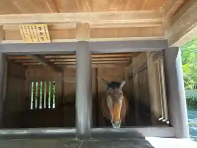伊勢神宮内宮（皇大神宮）(三重県)