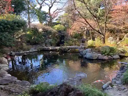 感通寺の庭園