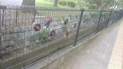 香椎宮のその他建物