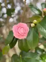 南明寺の{uncategorized: "未分類", other: "その他", undefined: "問題あり", building: "その他建物", grave: "お墓", sacred_gate: "鳥居", guardian: "狛犬", statue: "像", buddha: "仏像", history: "歴史", nature: "自然", garden: "庭園", animal: "動物", pagoda: "塔", temizu: "手水舎", mountain_gate: "山門・神門", sanctuary: "本殿・本堂", subordinate: "末社・摂社", art: "芸術", scenery: "景色", jizo: "地蔵", ema: "絵馬", goshuin: "御朱印", omikuji: "おみくじ", items: "授与品その他", amulet: "お守り", goshuincho: "御朱印帳", eats: "食事", festival: "お祭り", votive_dance: "神楽", shichigosan: "七五三参", wedding: "結婚式", experience: "体験その他", initially: "初詣", around: "周辺", anti_infection: "感染症対策"}