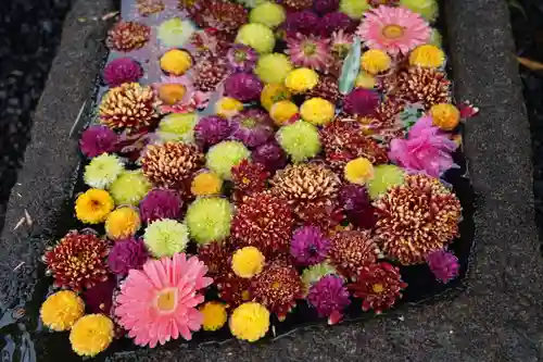 大鏑神社の手水舎