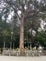 鴨都波神社の自然