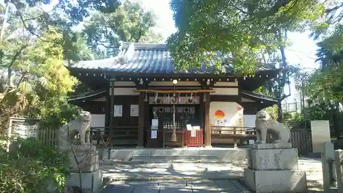 安居神社の本殿・本堂