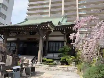 善導寺の本殿・本堂