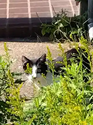 五郎兵衛稲荷神社(茨城県)